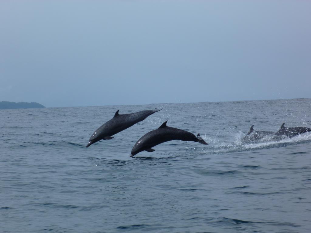 Mirians Place Drake Drakes Bay Buitenkant foto